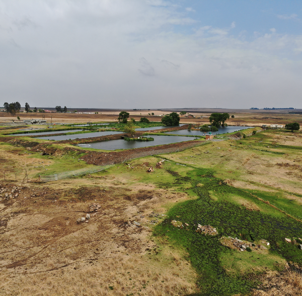 Slide-Trichardt-Stream-3